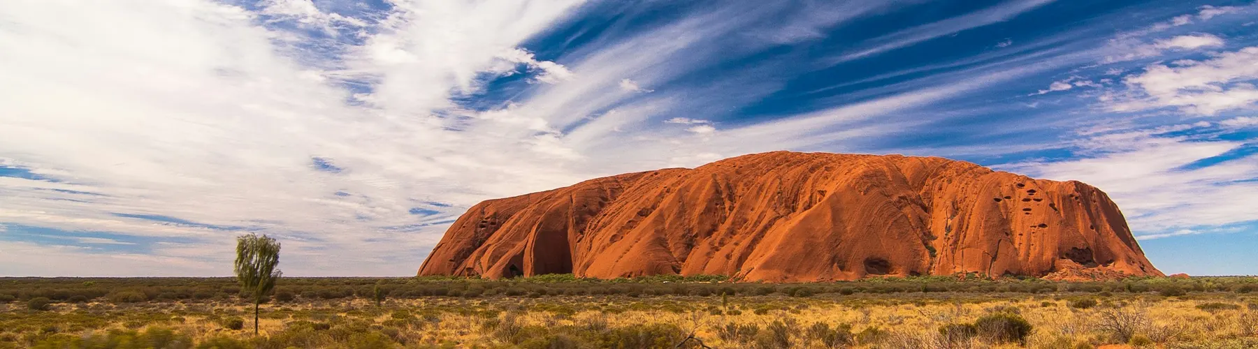 Uluru at first light in the Northern Territory, seen from the road across the surrounding spinifex plain